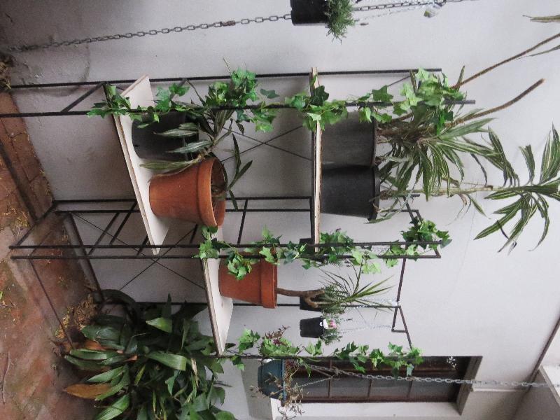 Newtown Cozy Stays Σίδνεϊ Εξωτερικό φωτογραφία